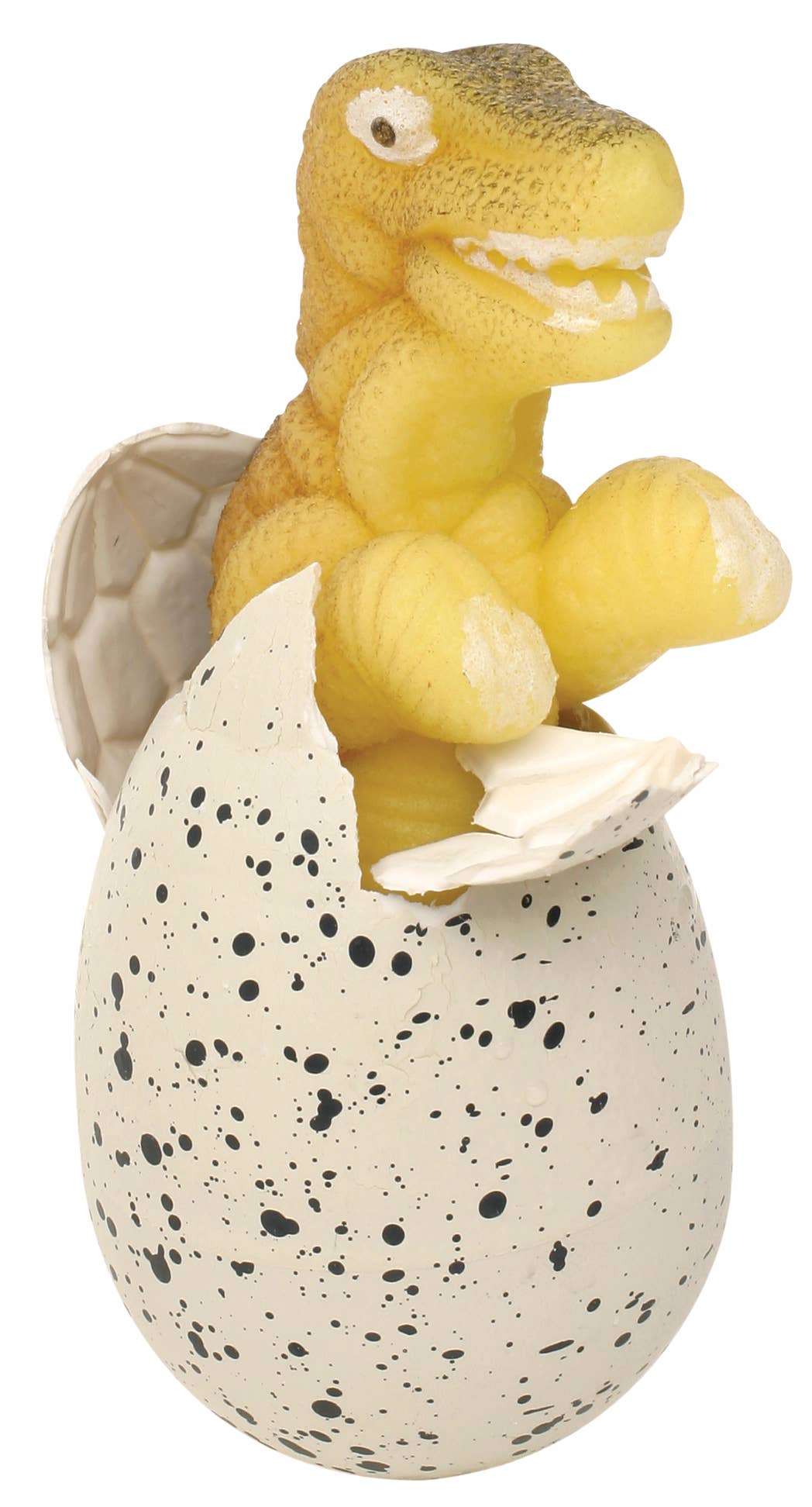 Growing Dino Egg