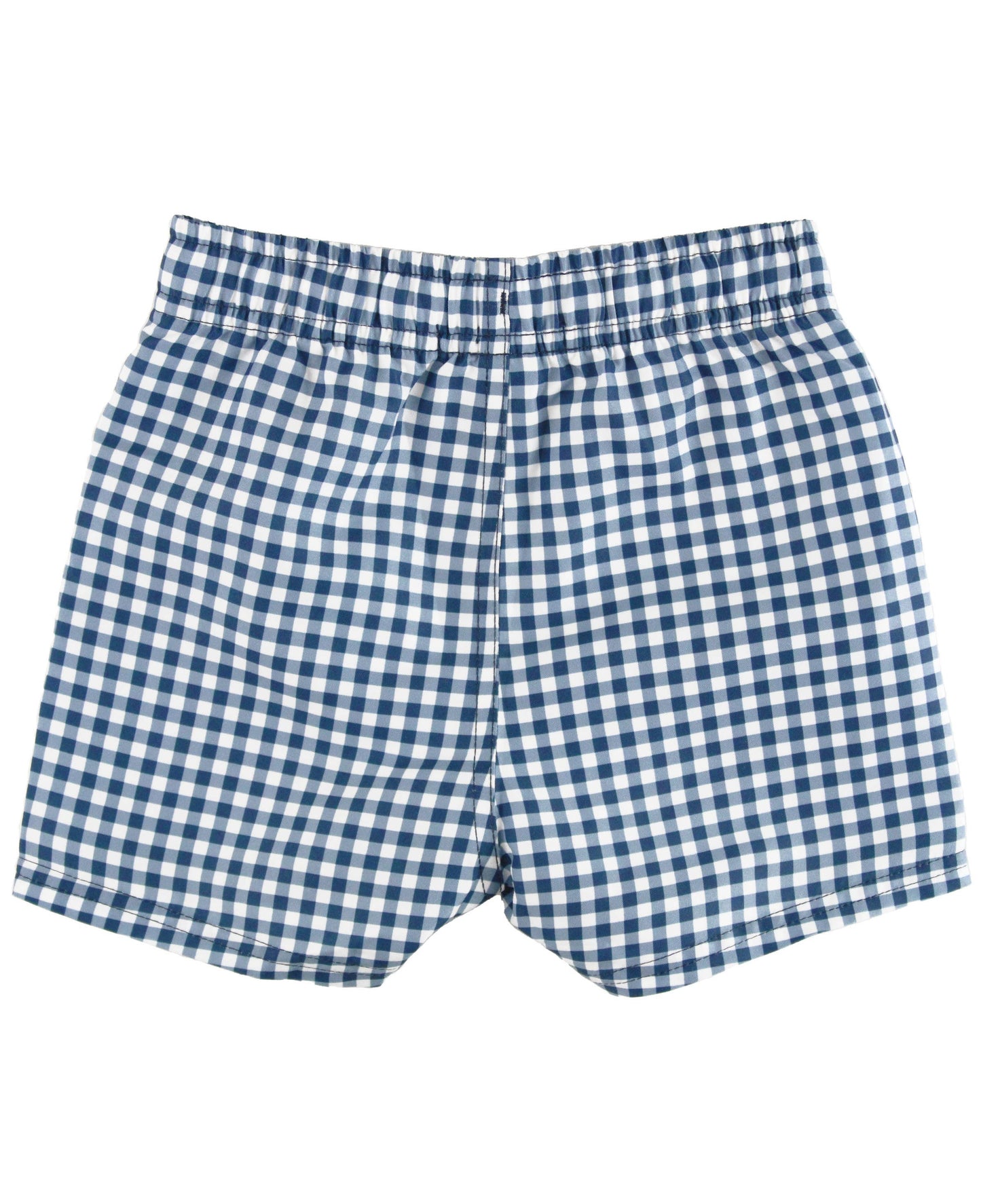 Boys Navy Gingham Swim Trunks