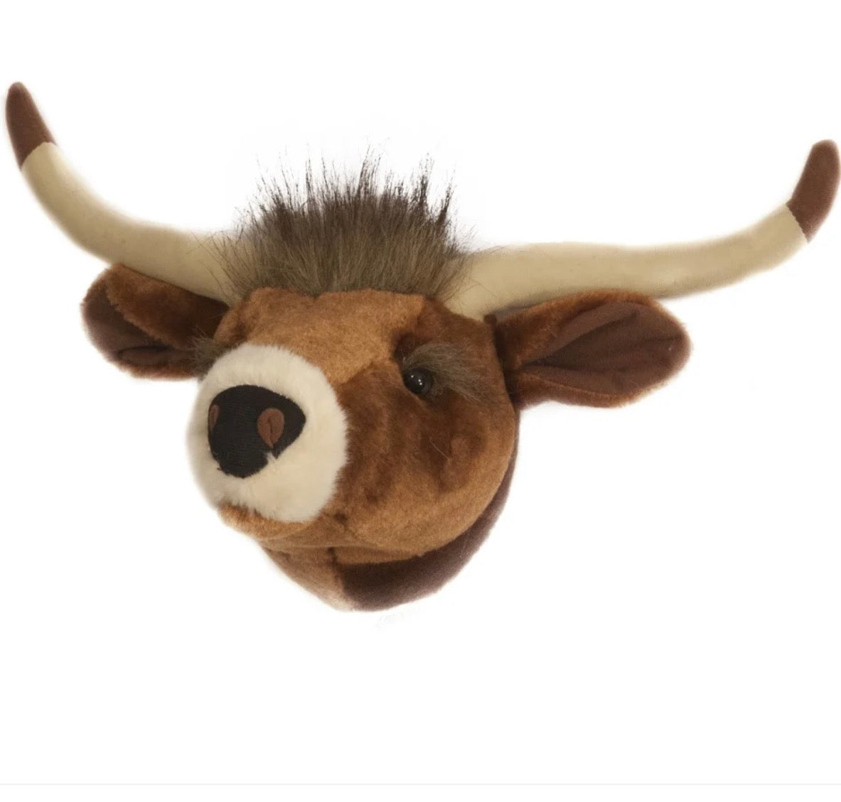 Longhorn Mini Trophy Head