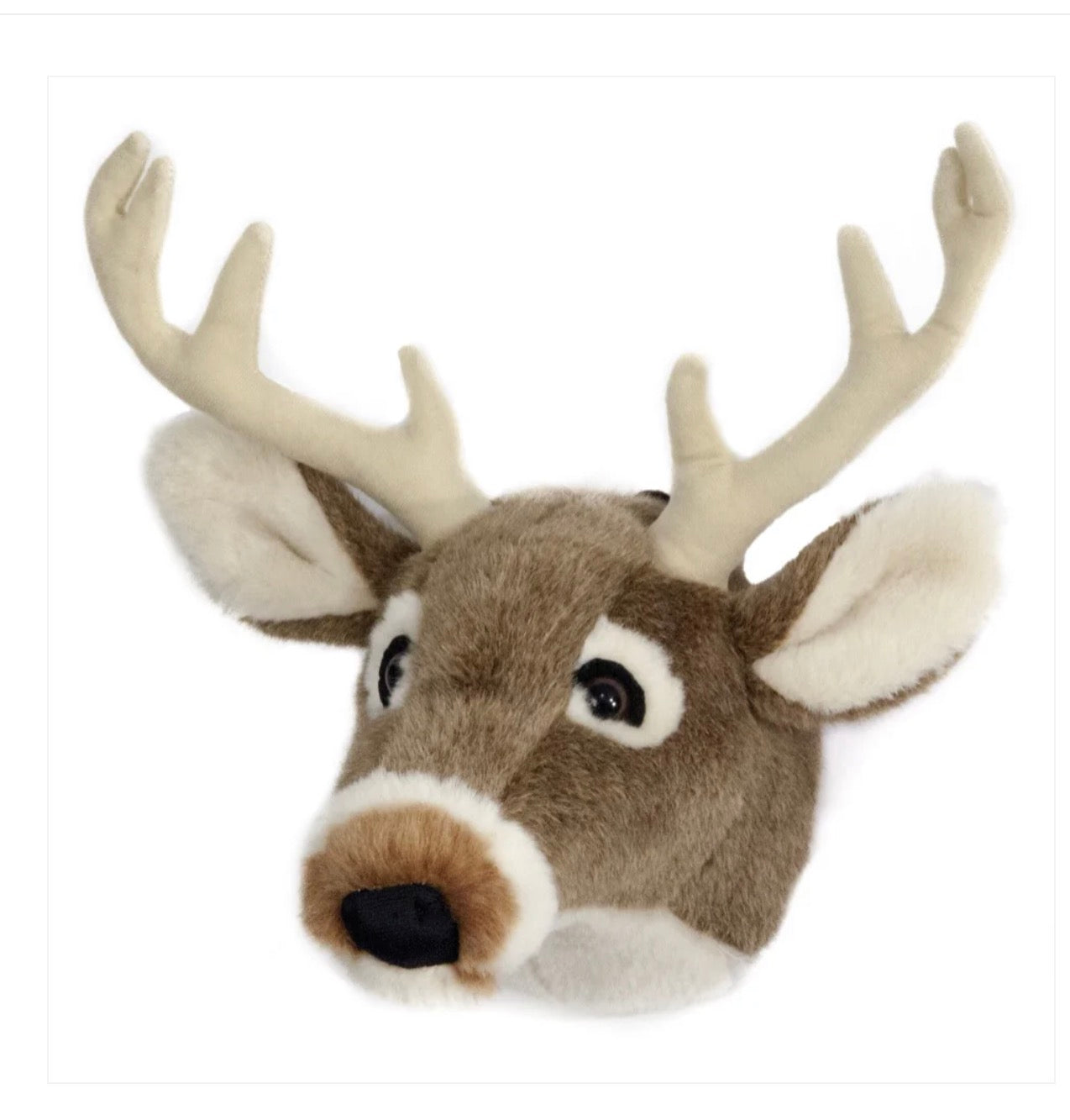 White Tail Deer Large Trophy Head
