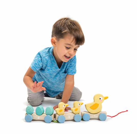 Pull Along Ducks