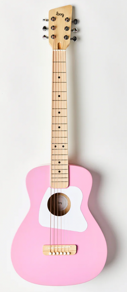 Pro VI Acoustic Guitar