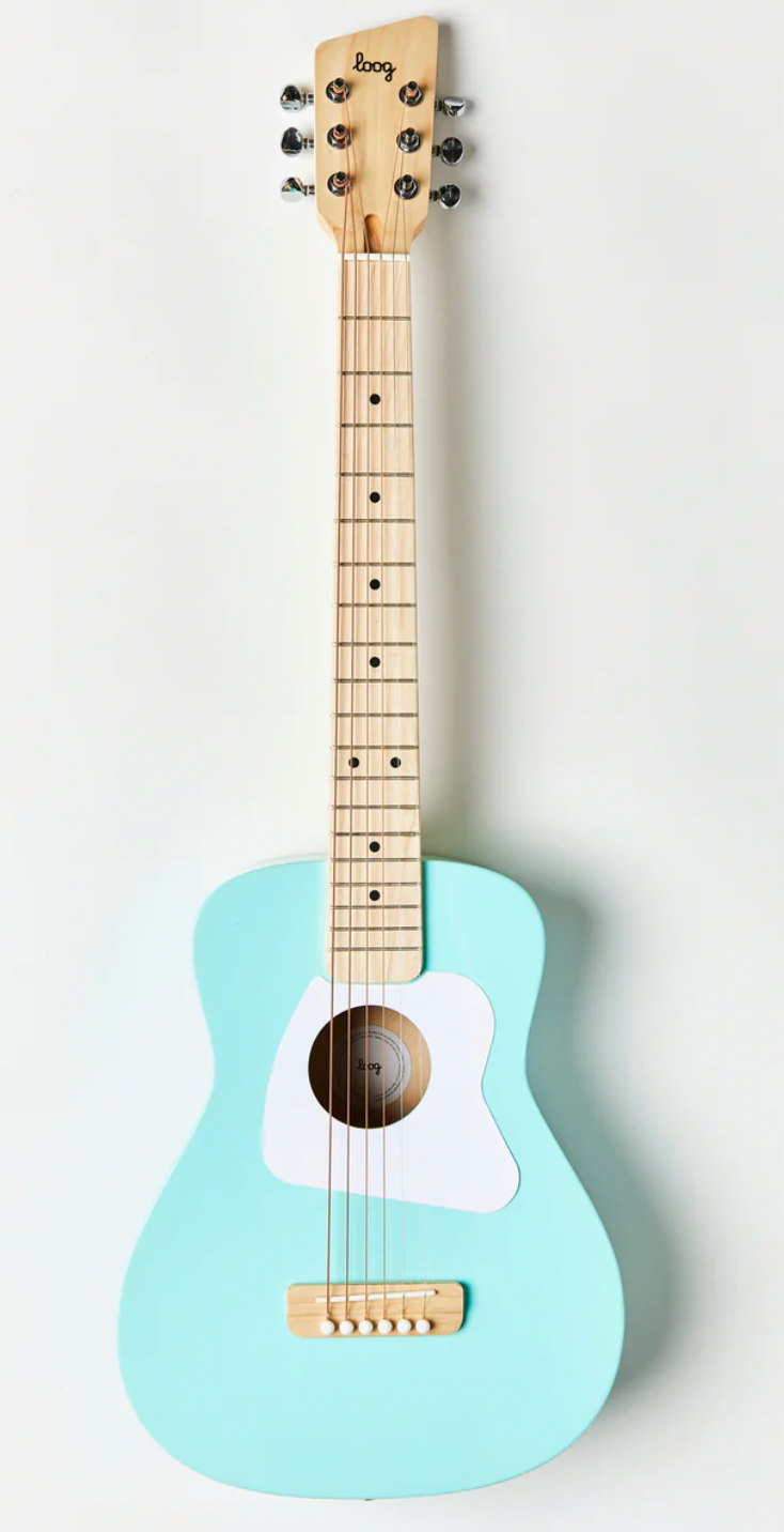 Pro VI Acoustic Guitar