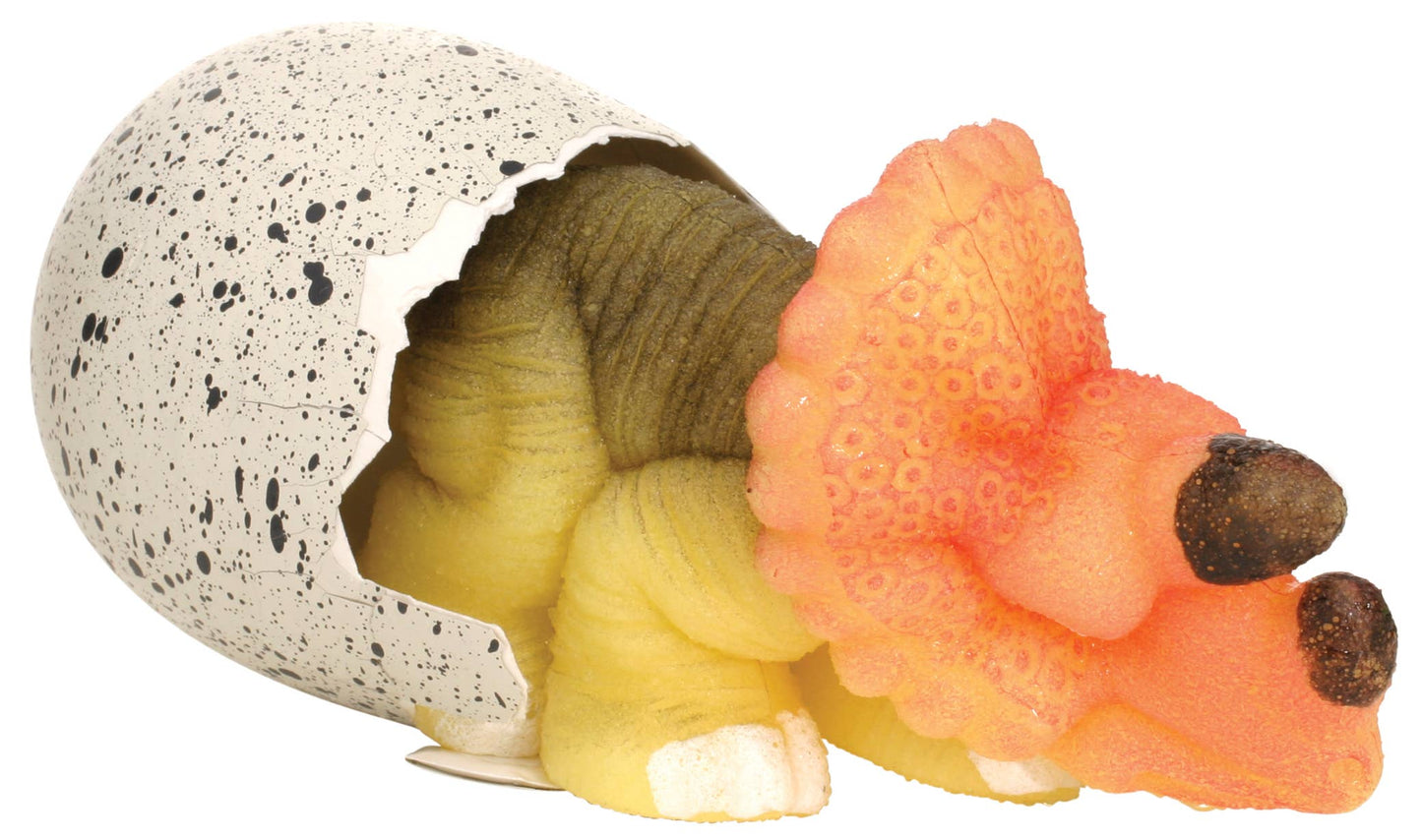 Growing Dino Egg