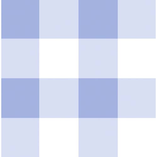 Blue Gingham Nap Mat