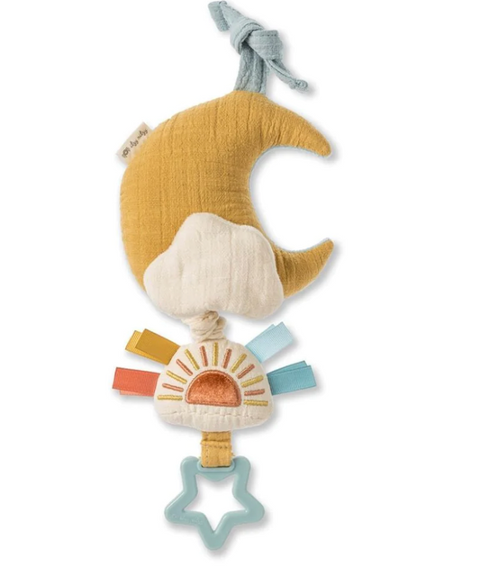 Musical Pull Down Toy