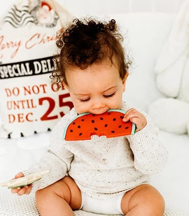 Wally the Watermelon Teether