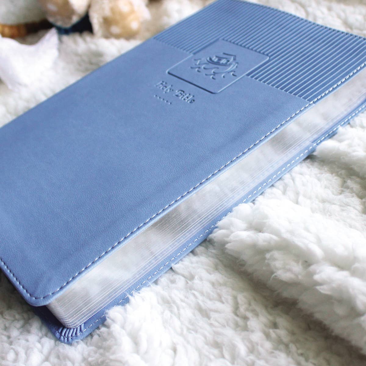 Blue Baby Gift Bible (Keepsake Edition)