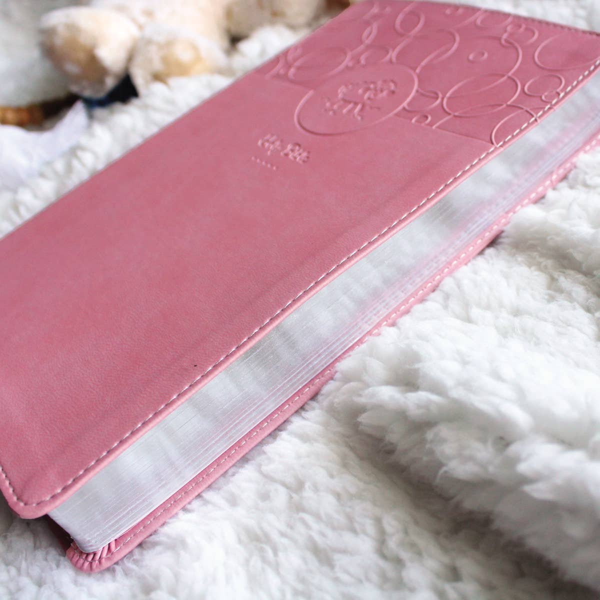 Pink Baby Gift Bible (Keepsake Edition)