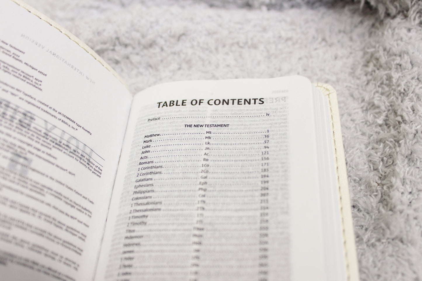 Tiny Testament Leather Bible