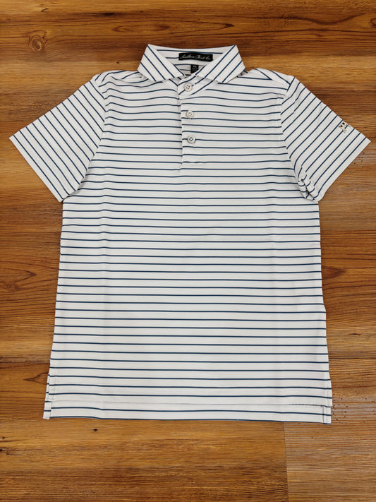 Horizon Stripe Polo
