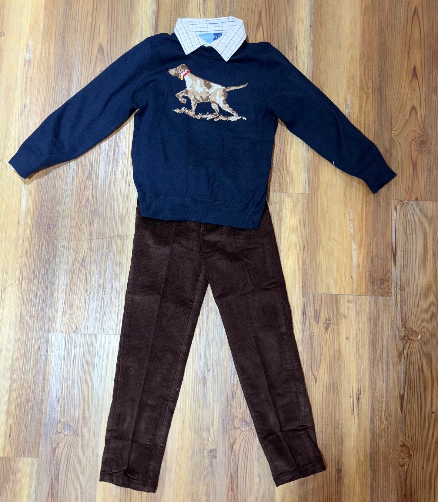 Long Sleeve Dog Sweater Set