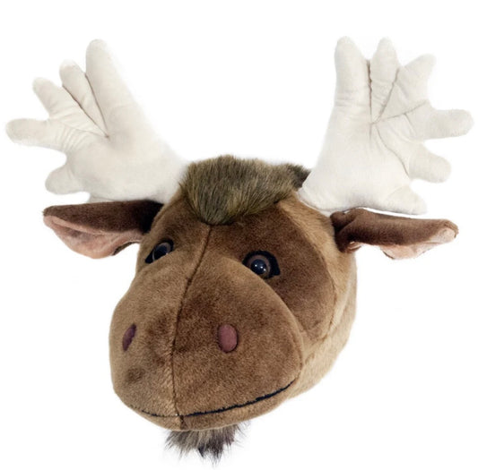 Moose Large Trophy Head