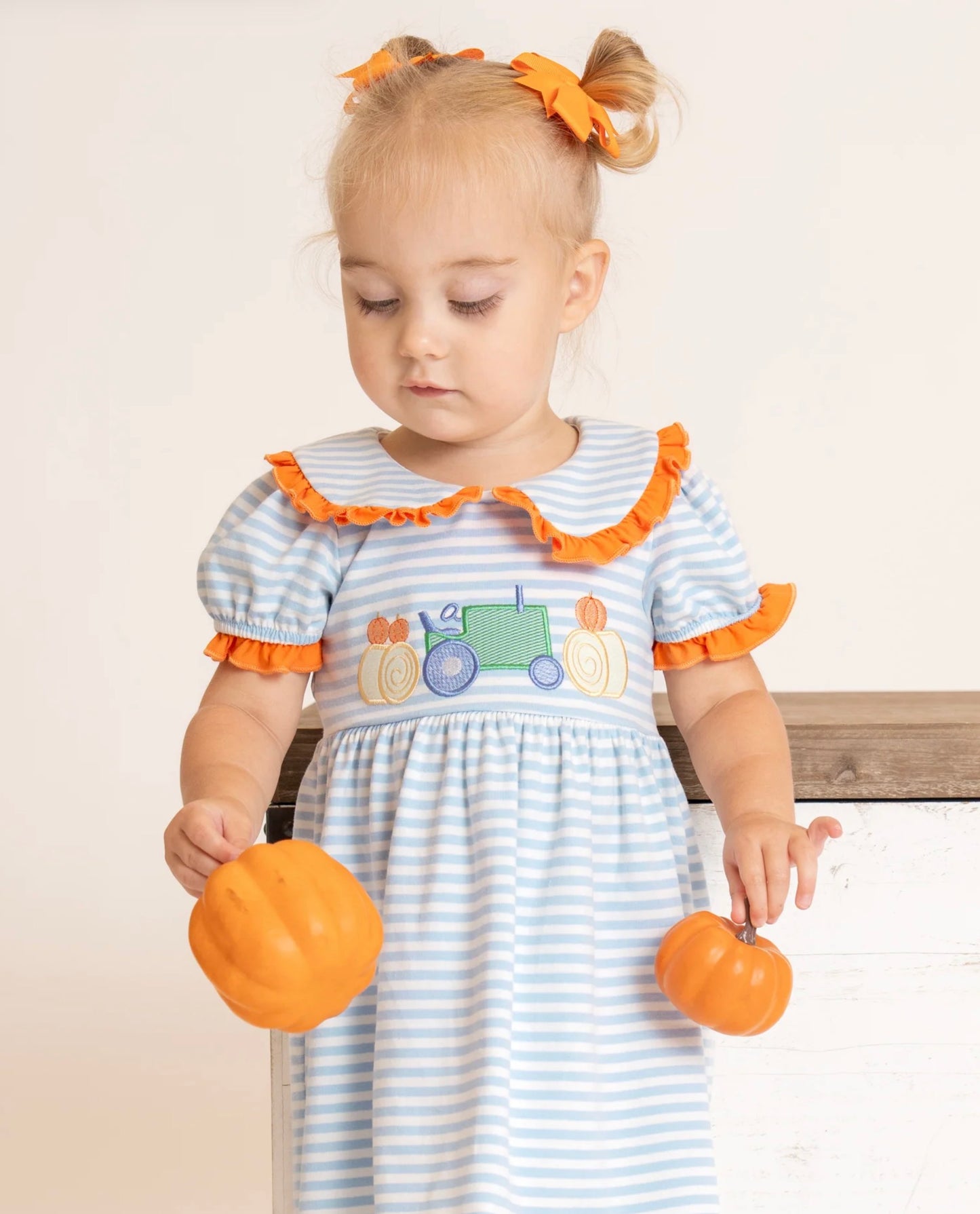 Pumpkin Ride Embroidered Dress
