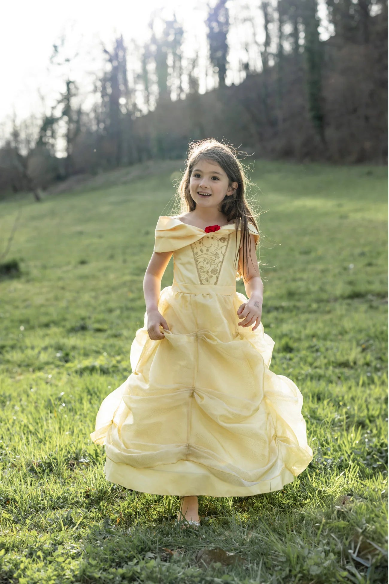 Belle Costume Dress