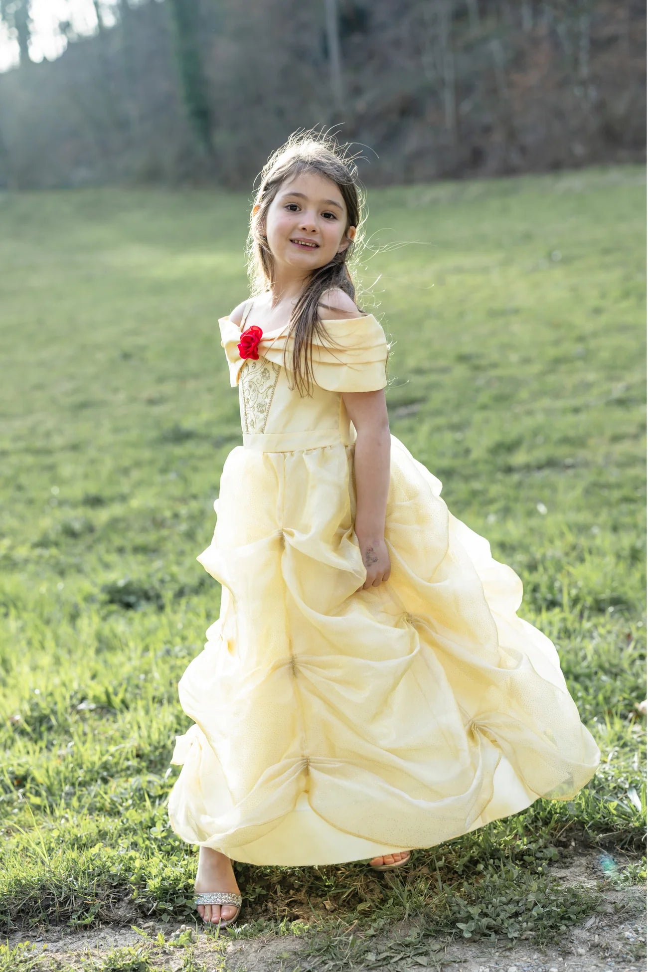 Belle Costume Dress