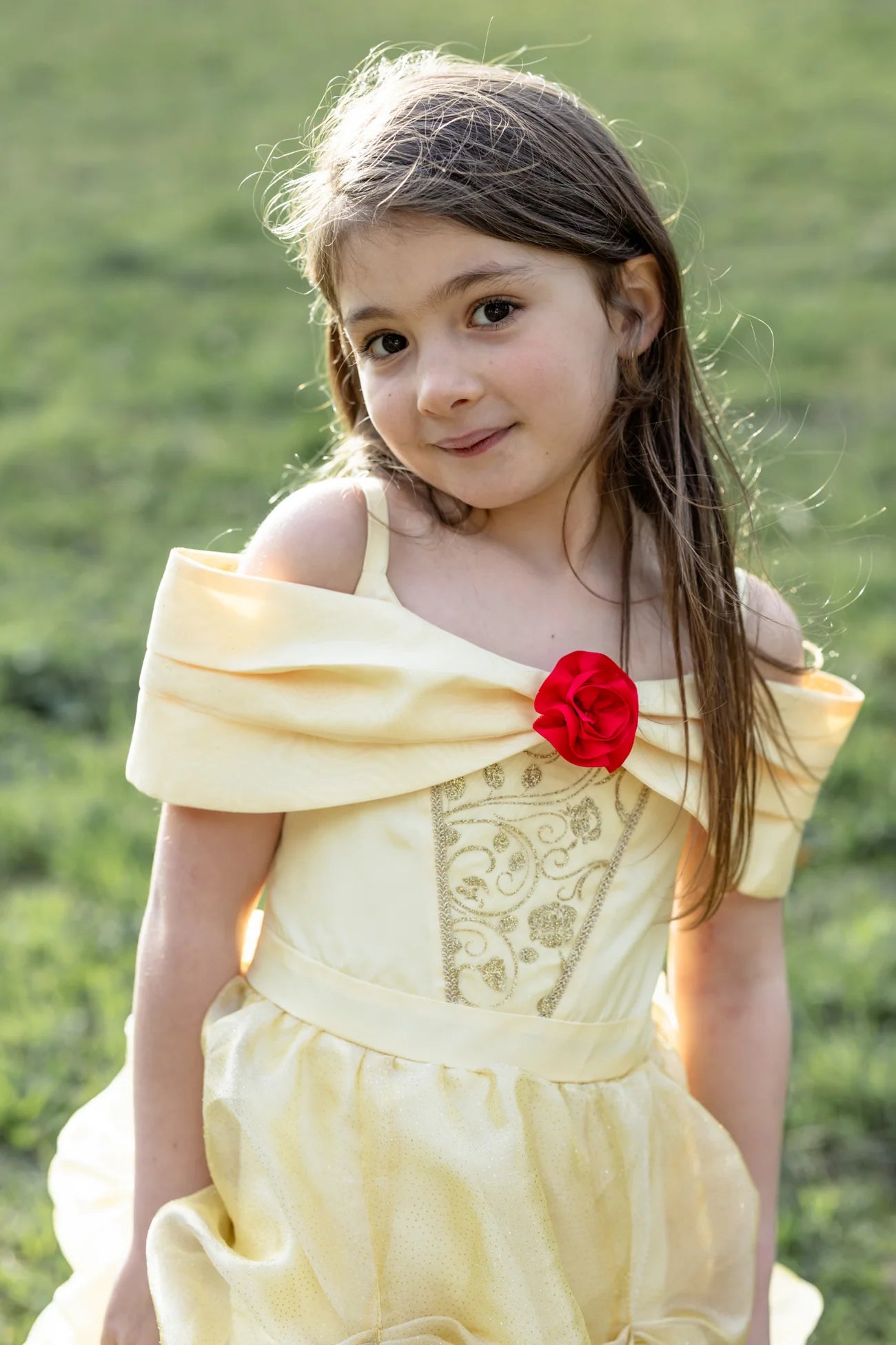 Belle Costume Dress