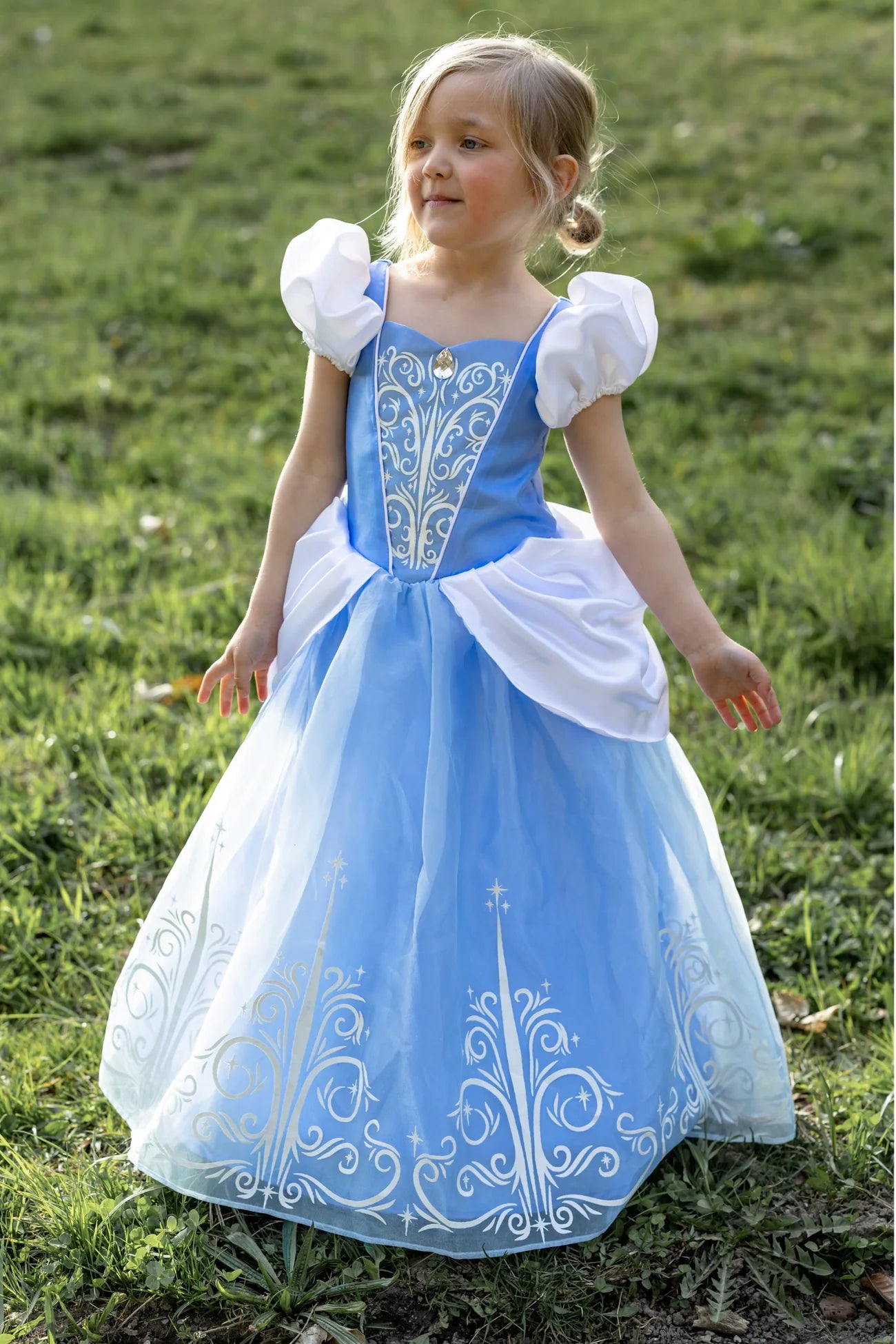 Glass Slipper Costume Dress
