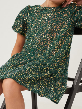 Green Sequin Dress