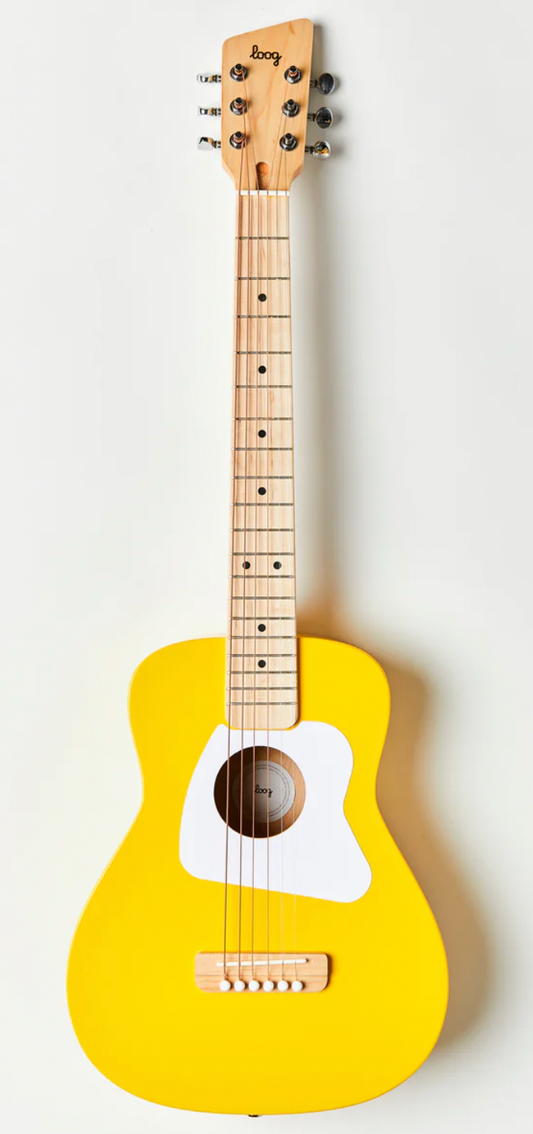 Pro VI Acoustic Guitar