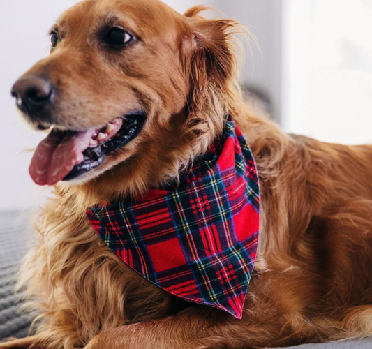 Pet Bandana - Tartan