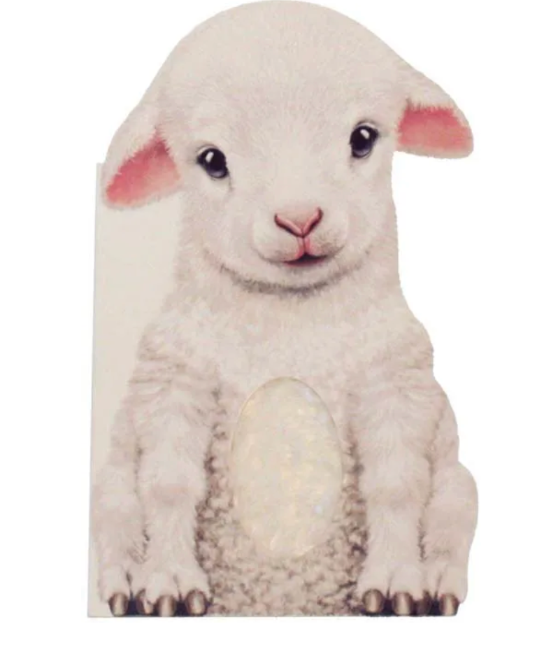 Furry Lamb Book