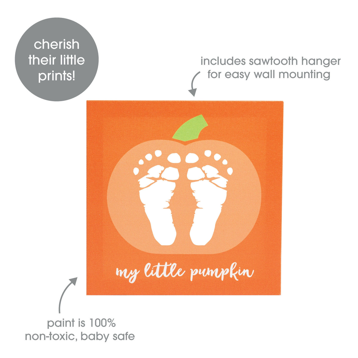 My Little Pumpkin Paint Kit